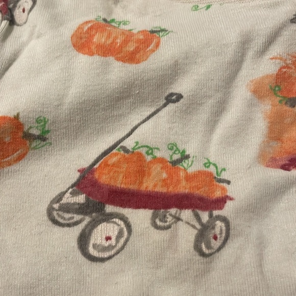 4T Burt’s Bees pajamas wagon pumpkin autumn fall - Picture 2 of 3